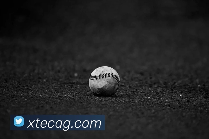 ag官网服务体系