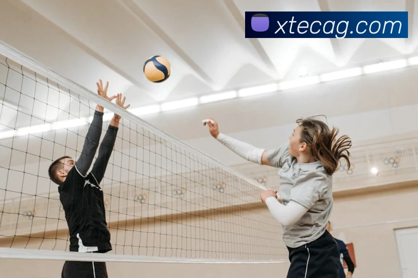 多媒体互动体验